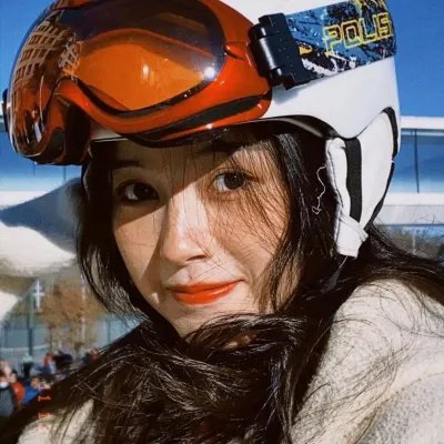 大搜查线4：终极侦查