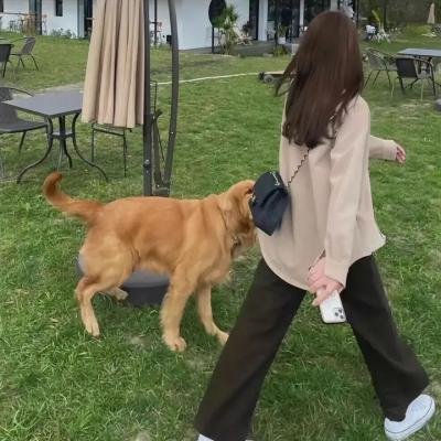 纽约熟男寂寞日记